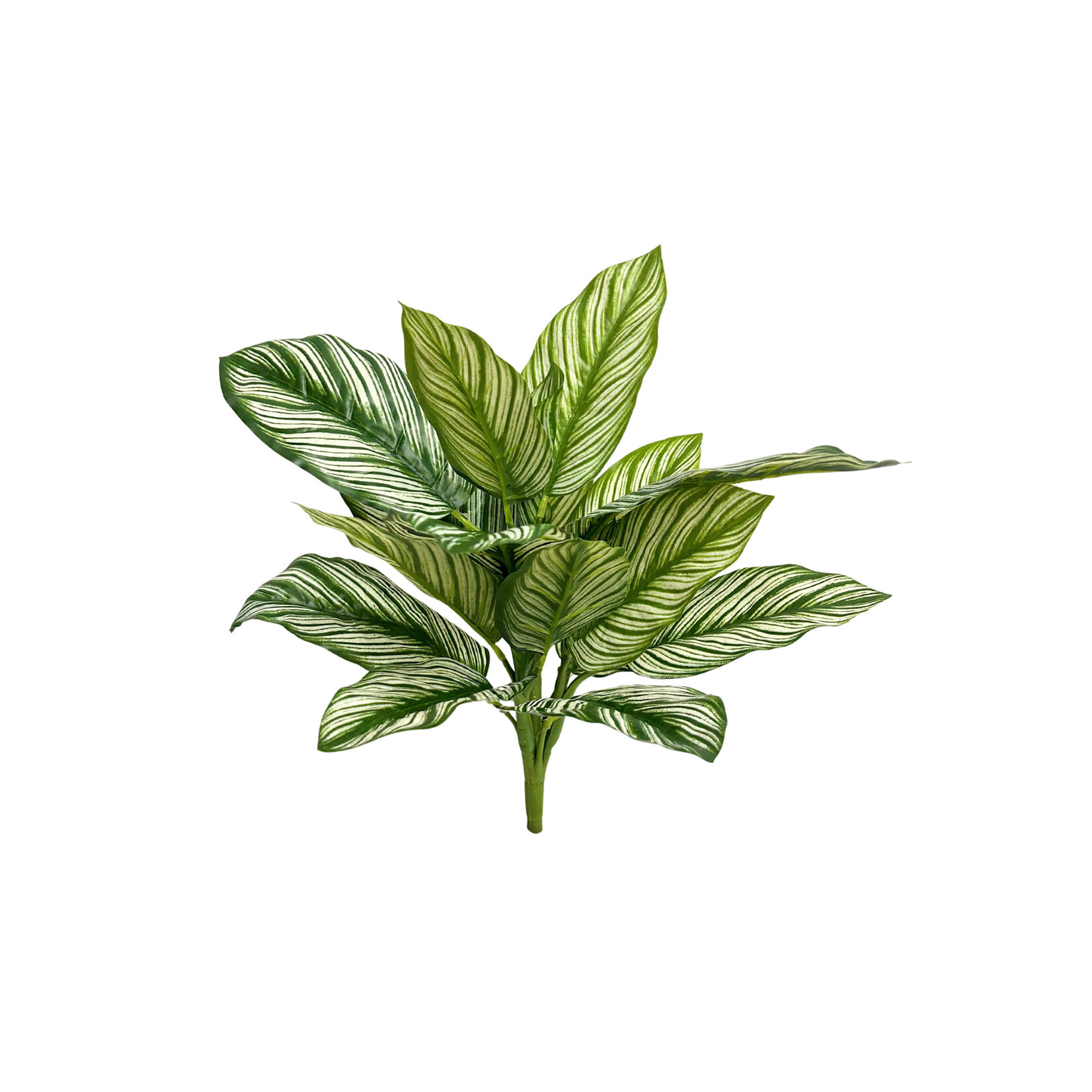 16" NATURAL TOUCH ZEBRA PLANT BUSH GREEN VARIEGATED