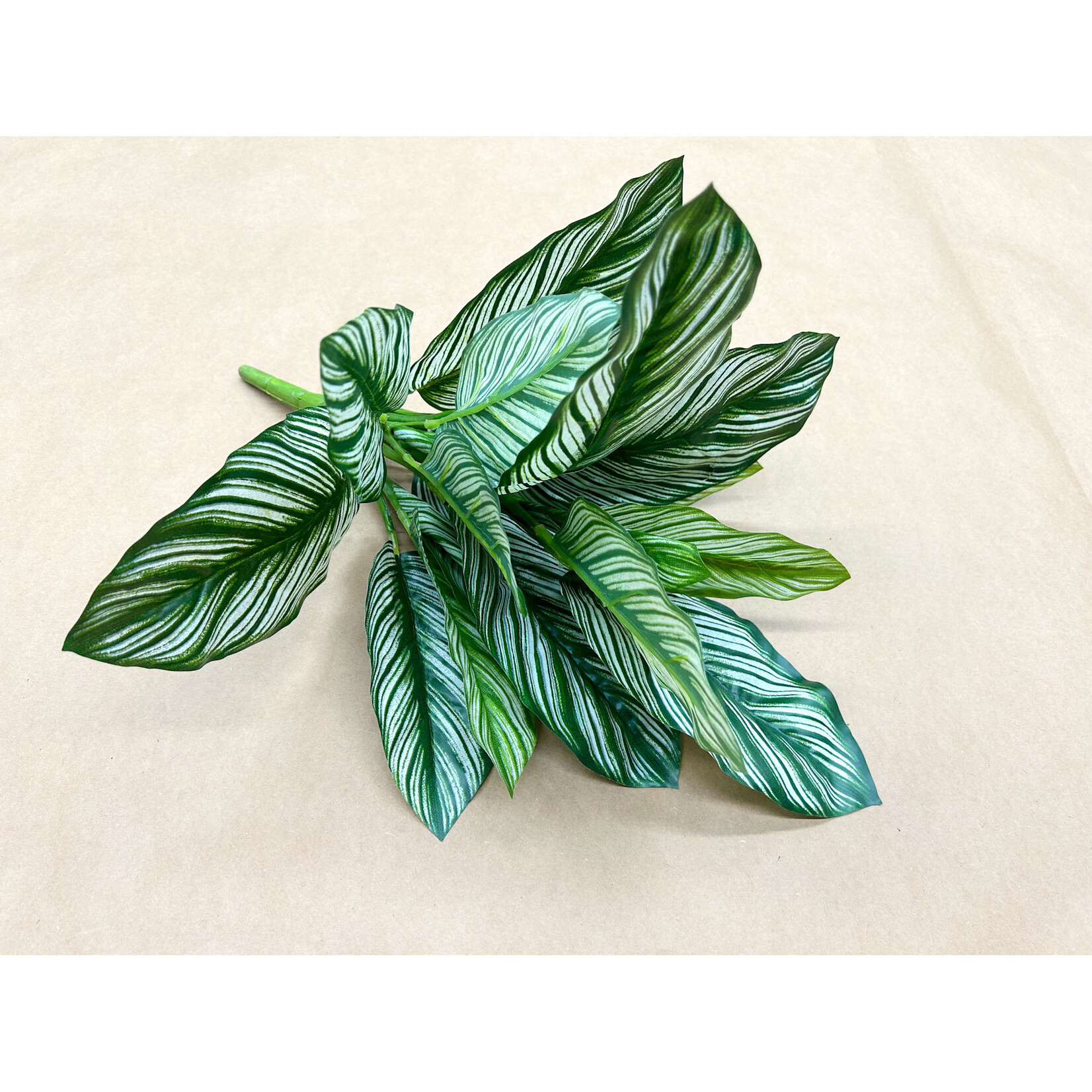 16" NATURAL TOUCH ZEBRA PLANT BUSH GREEN VARIEGATED