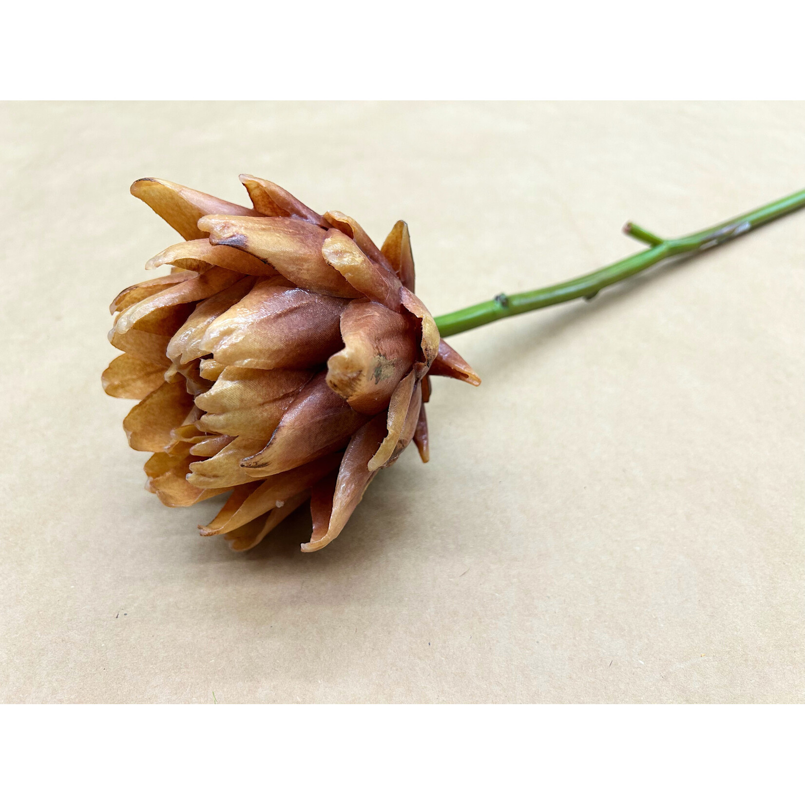 25.5” ARTICHOKE LINEN BROWN