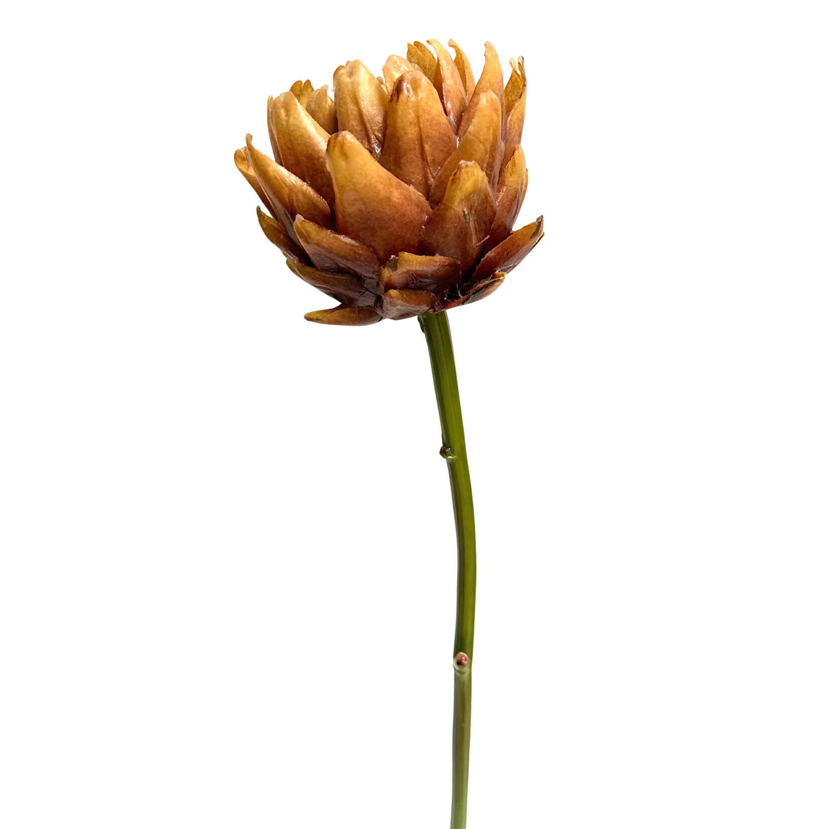 25.5” ARTICHOKE LINEN BROWN