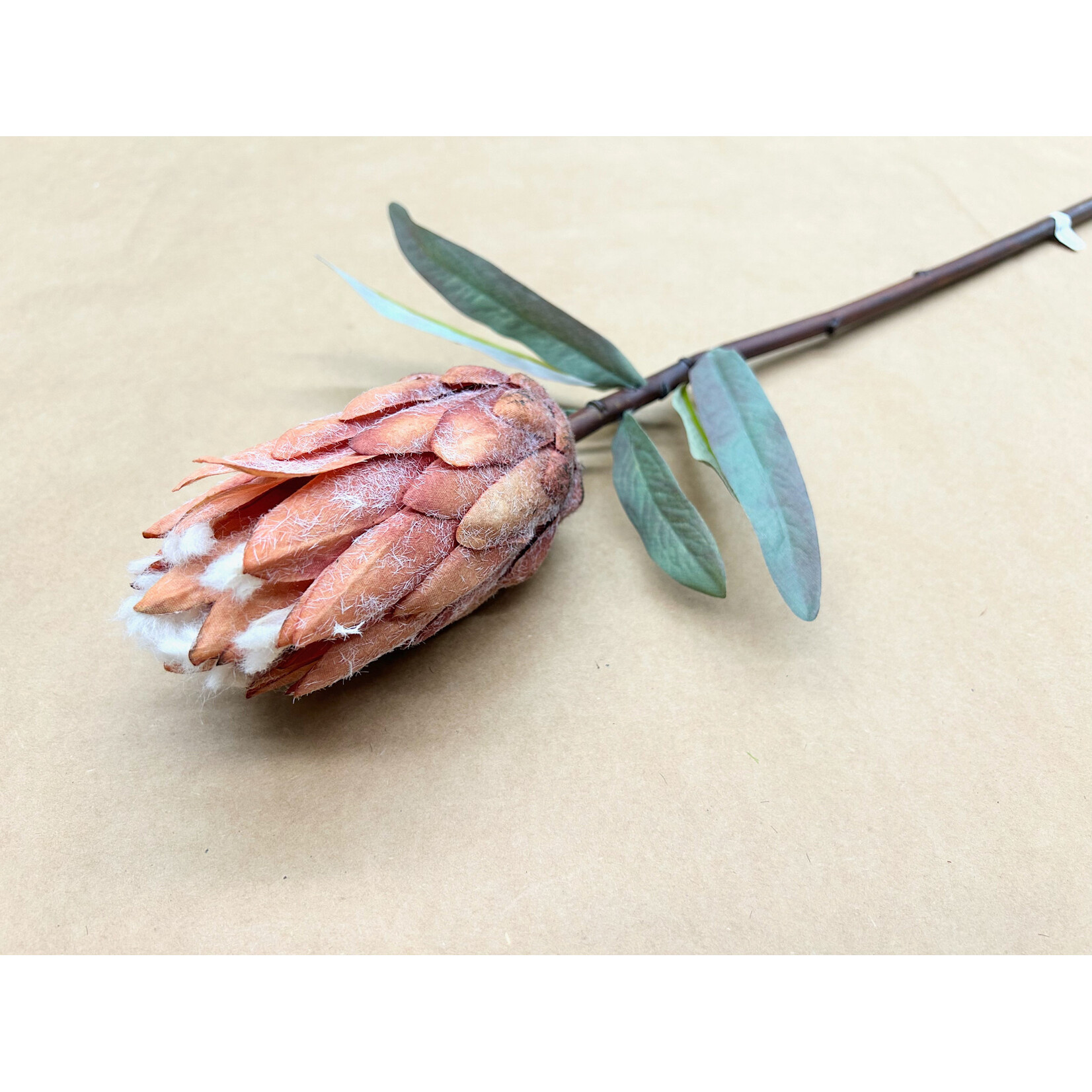 29" KING PROTEA MAUVE BROWN