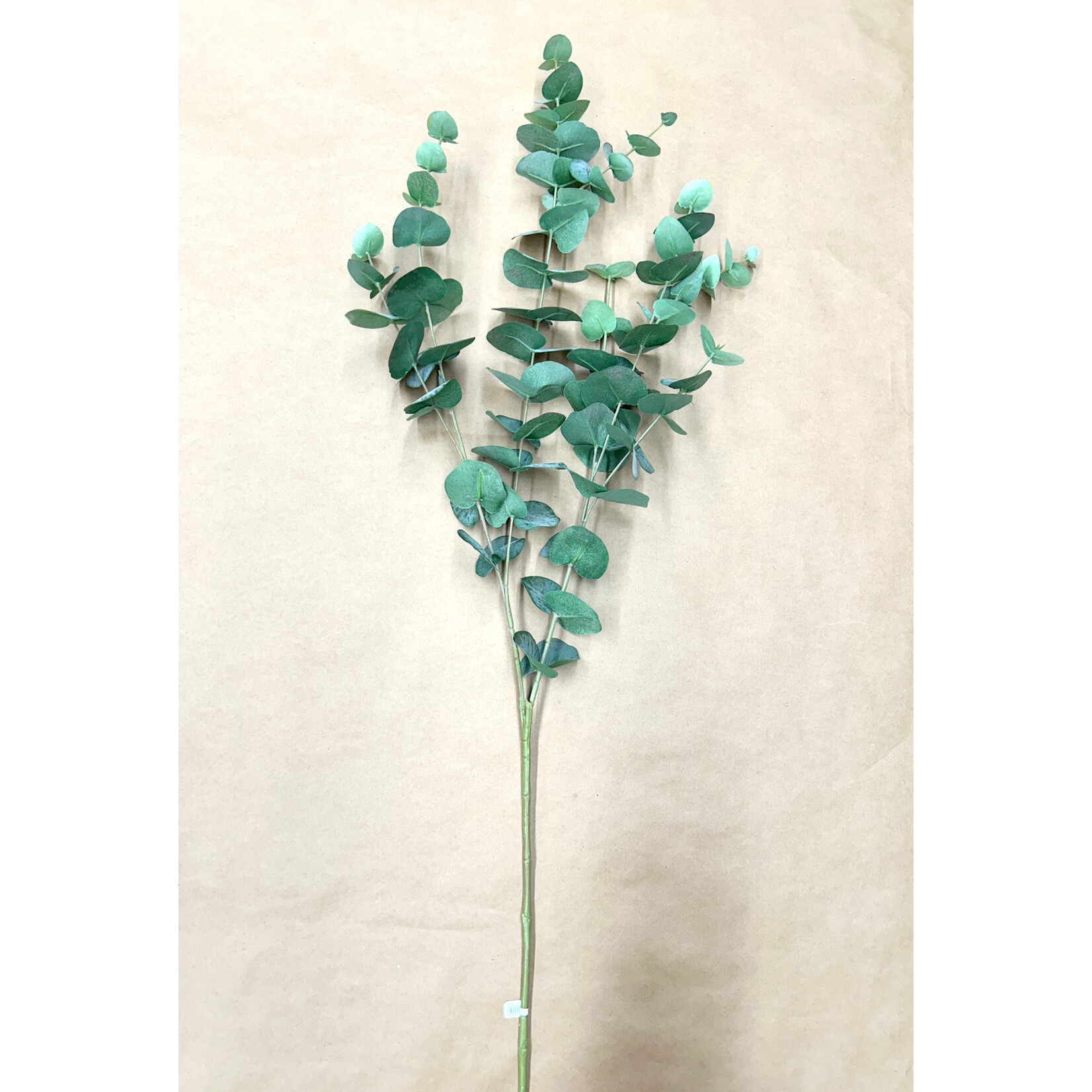 40" EUCALYPTUS SPRAY GREEN GREY