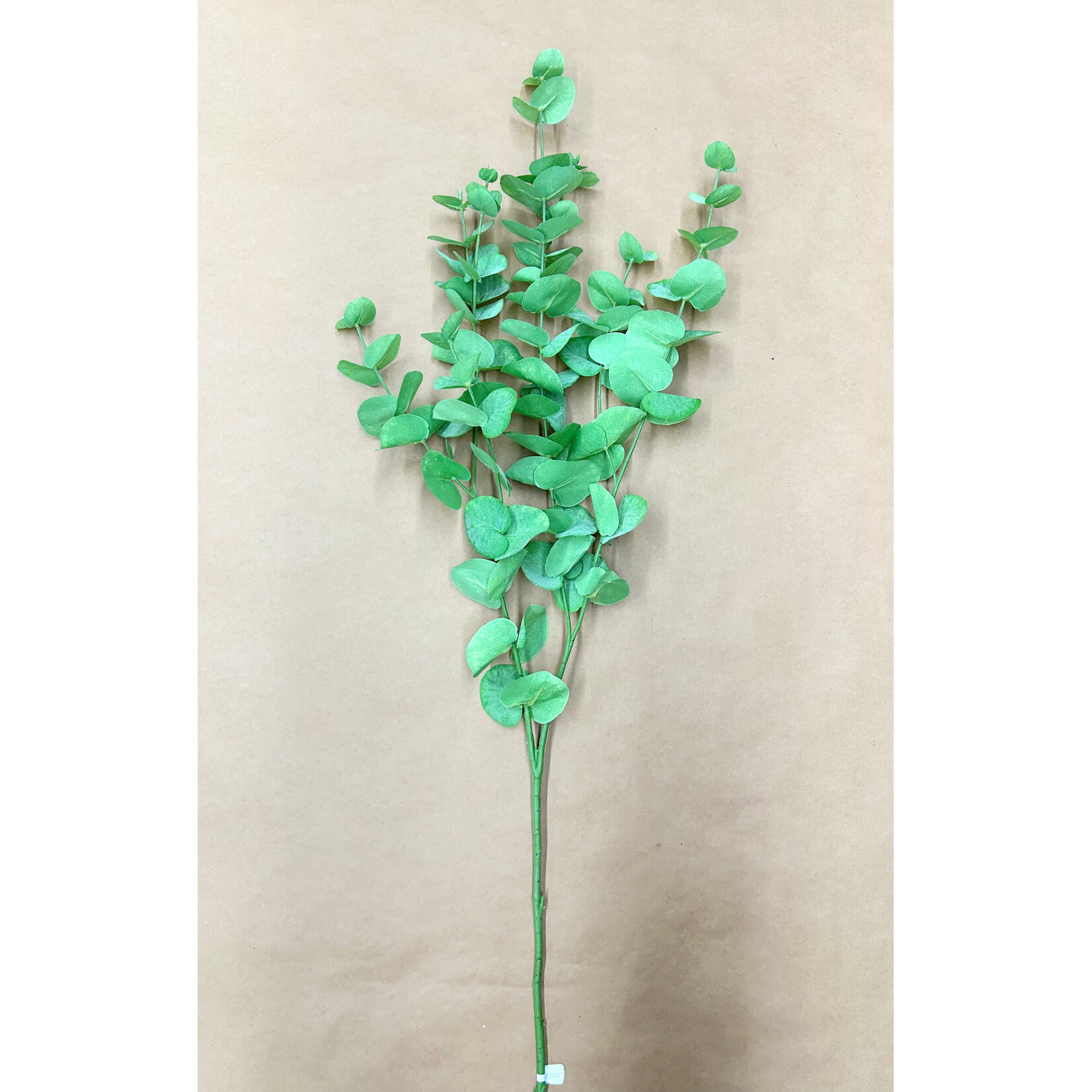 40" EUCALYPTUS SPRAY GREEN LIGHT