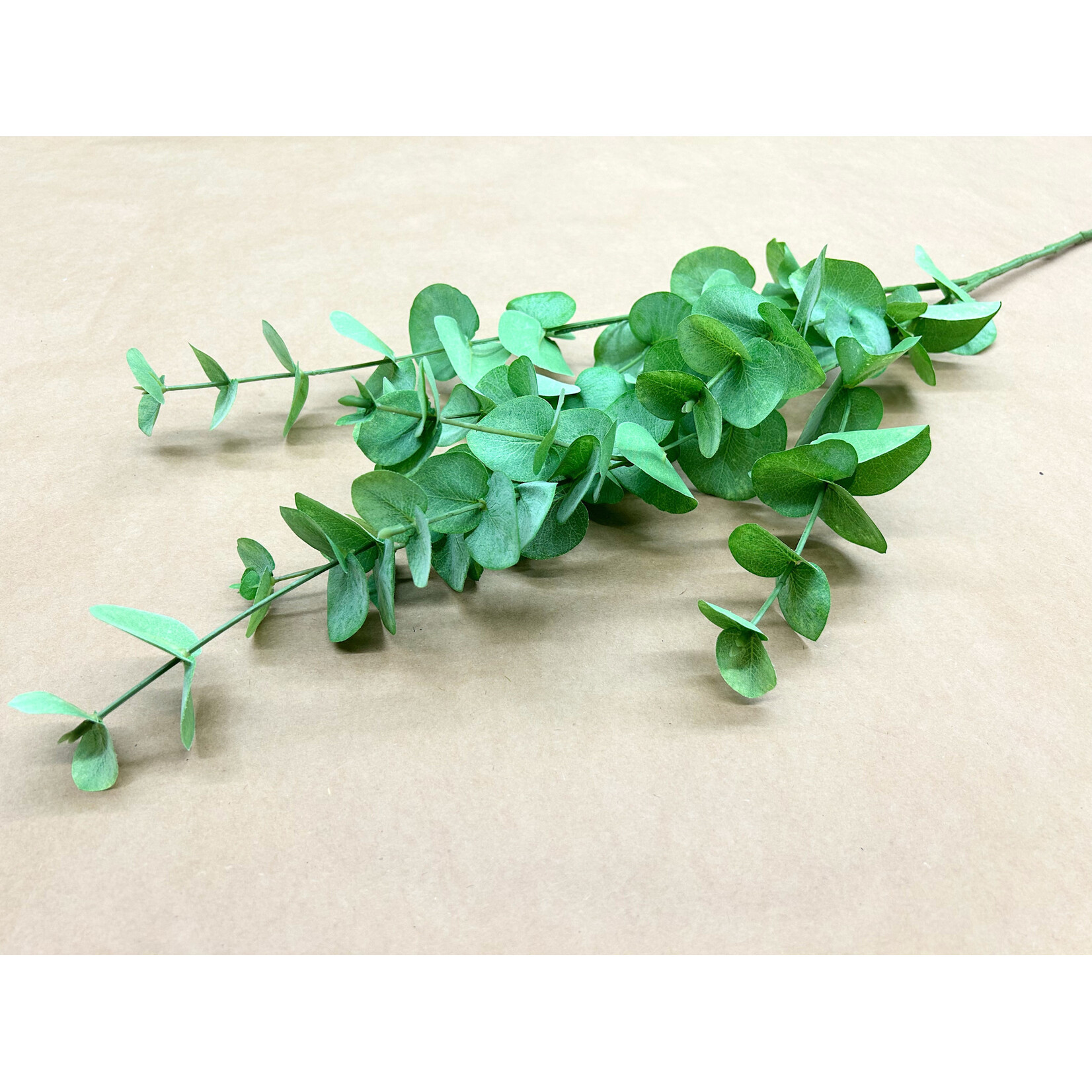 40" EUCALYPTUS SPRAY GREEN LIGHT