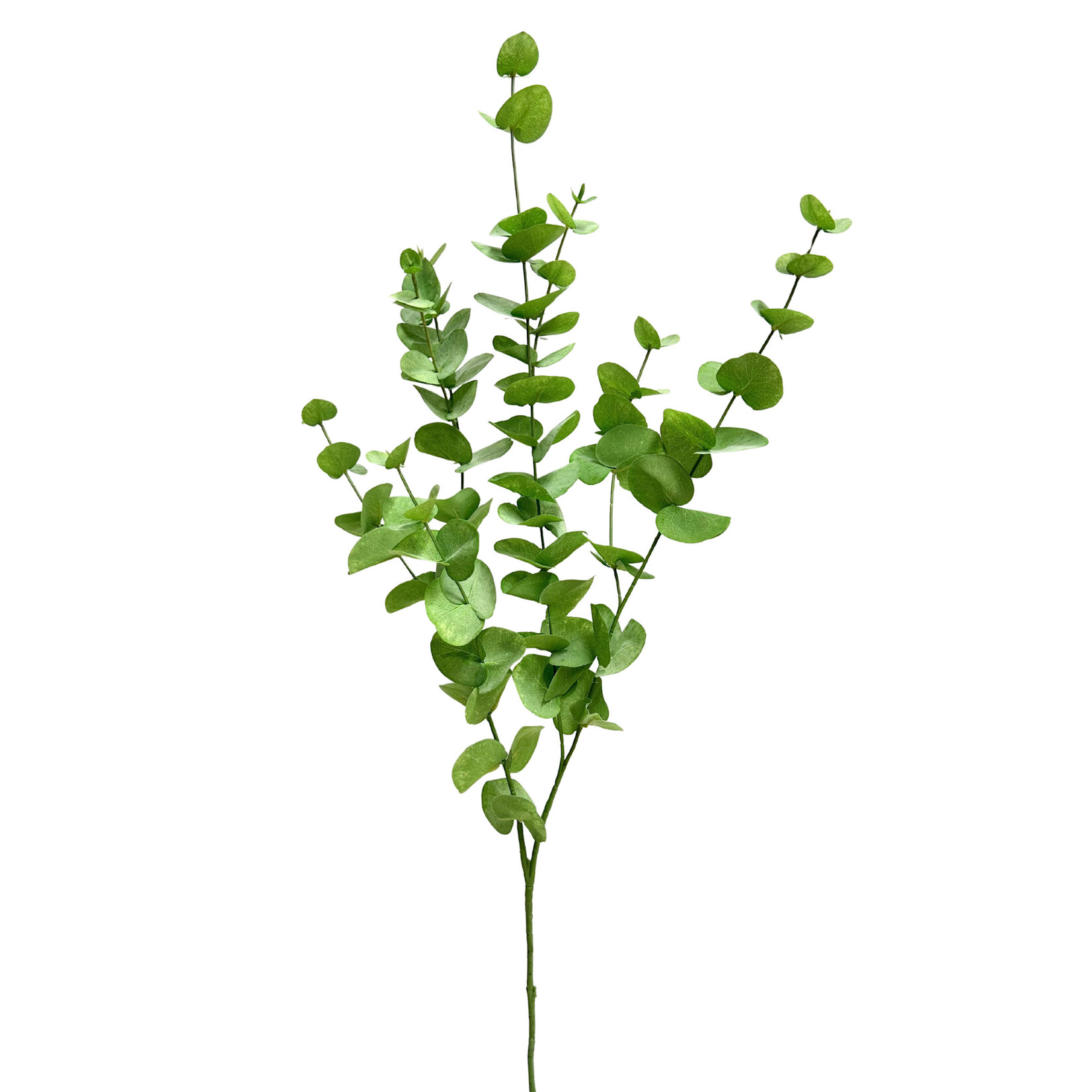 40" EUCALYPTUS SPRAY GREEN LIGHT