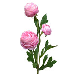 CSR139-RO: 16.5” MINI RANUNCULUS SPRAY ROSE