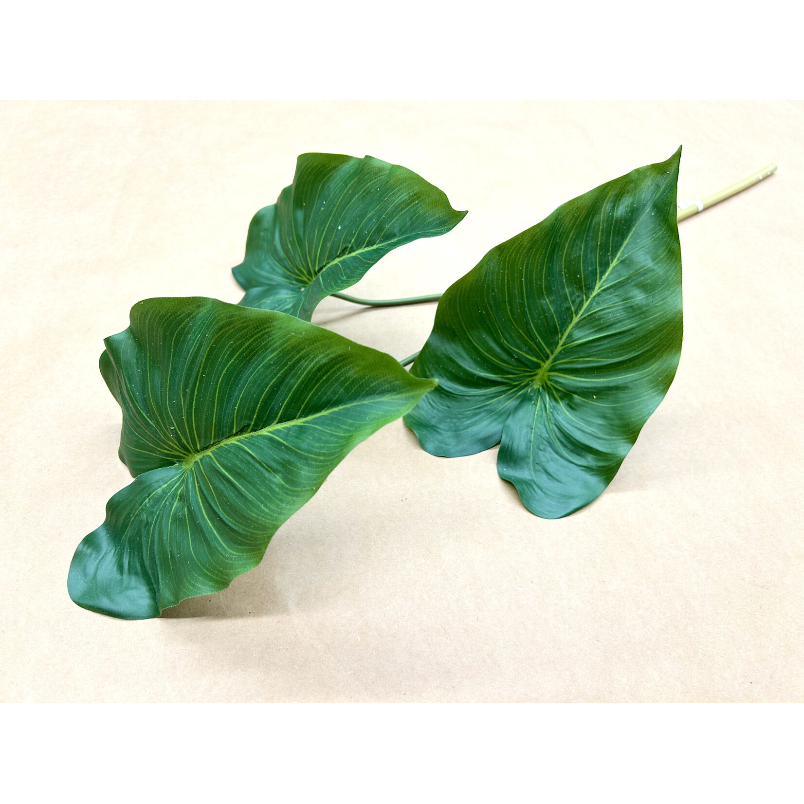24" ANTHURIUM SPRAY GREEN