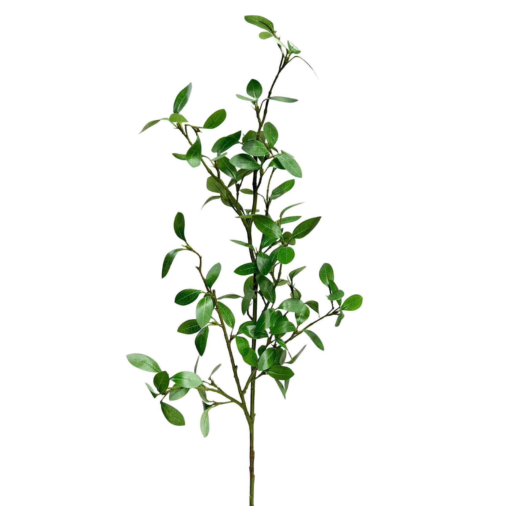 42" ROSE MYRTLE LEAF SPRAY GREEN
