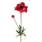 CSA213-RE: 25" ANEMONE SPRAY WITH BUD RED