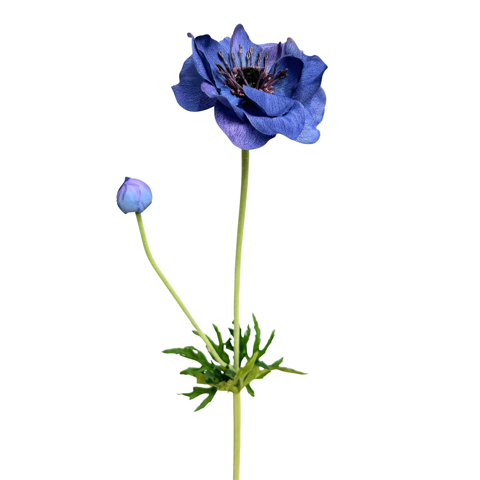 25" ANEMONE SPRAY WITH BUD BLUE HELIO