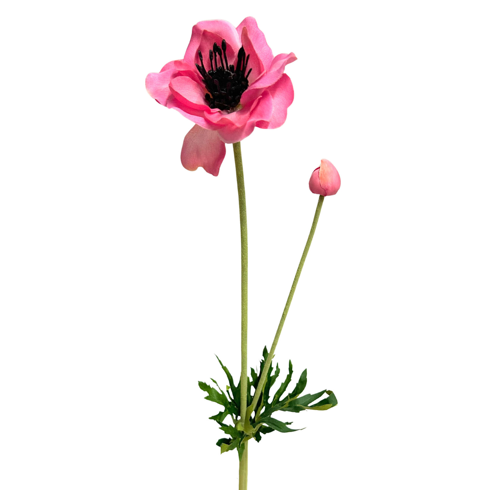 25" ANEMONE SPRAY WITH BUD ROSE