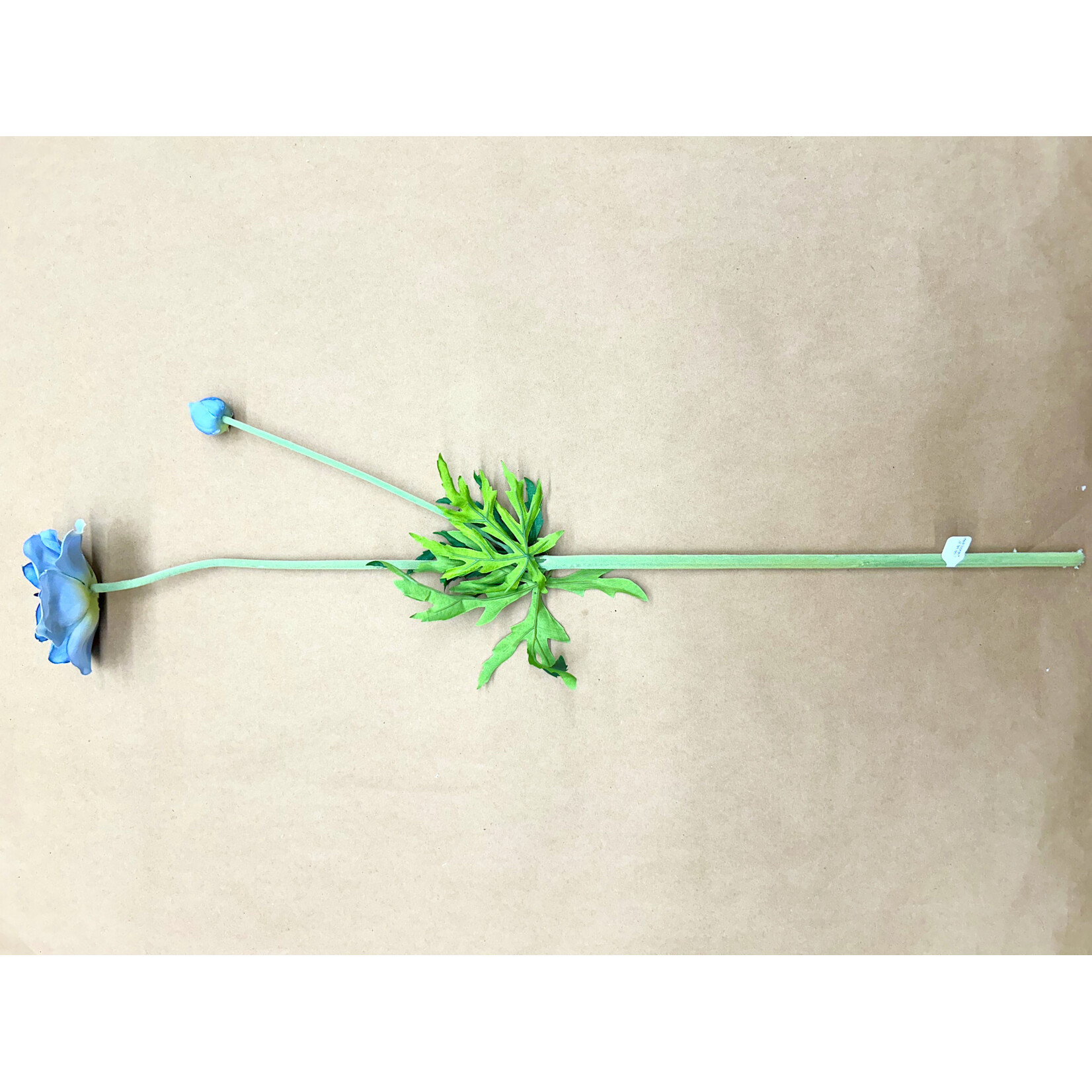 25" ANEMONE SPRAY WITH BUD BLUE