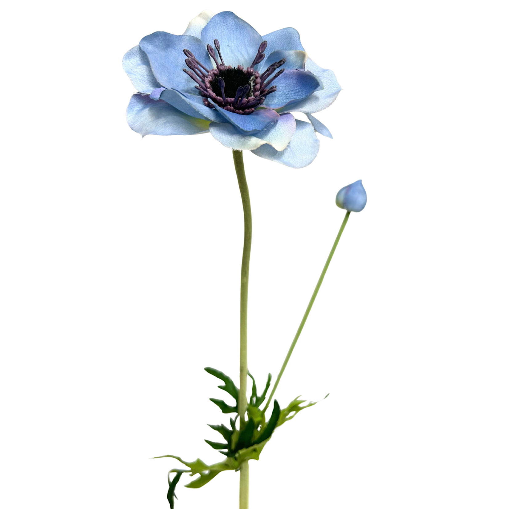25" ANEMONE SPRAY WITH BUD BLUE