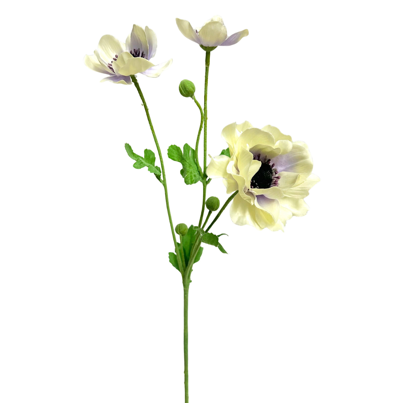 26" ANEMONE SPRAY CREAM LAVENDER