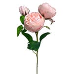 CSR160-BS: 21” NATURAL TOUCH ROSE SPRAY BLUSH