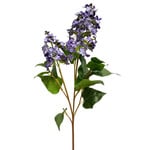 CSL703-BL/PU: 35” LILAC SPRAY BLUE PURPLE