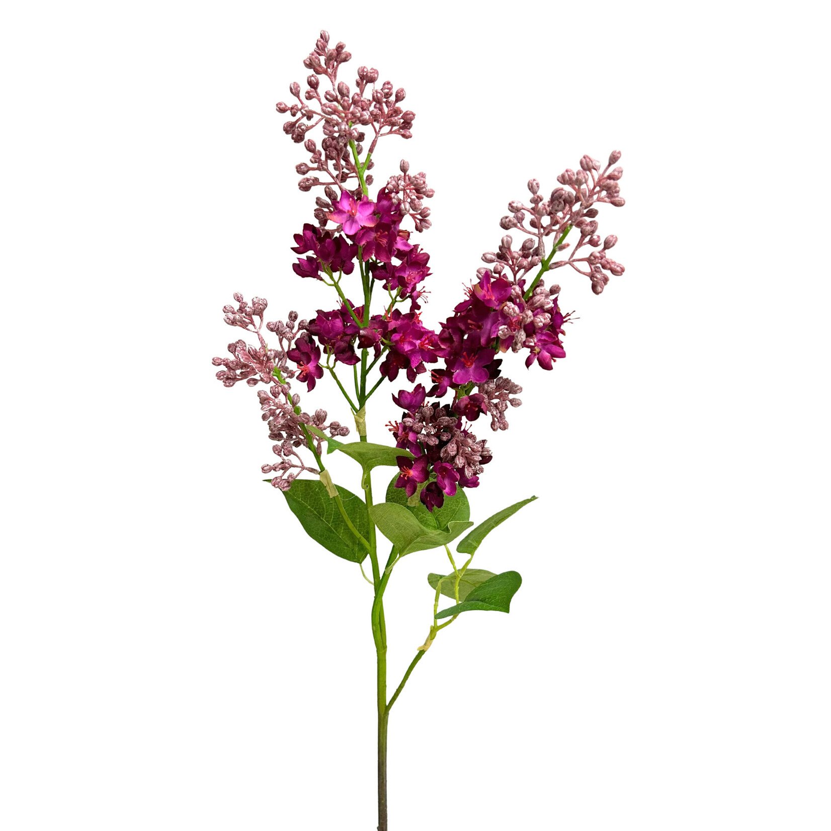 34.5" LILAC SPRAY BEAUTY