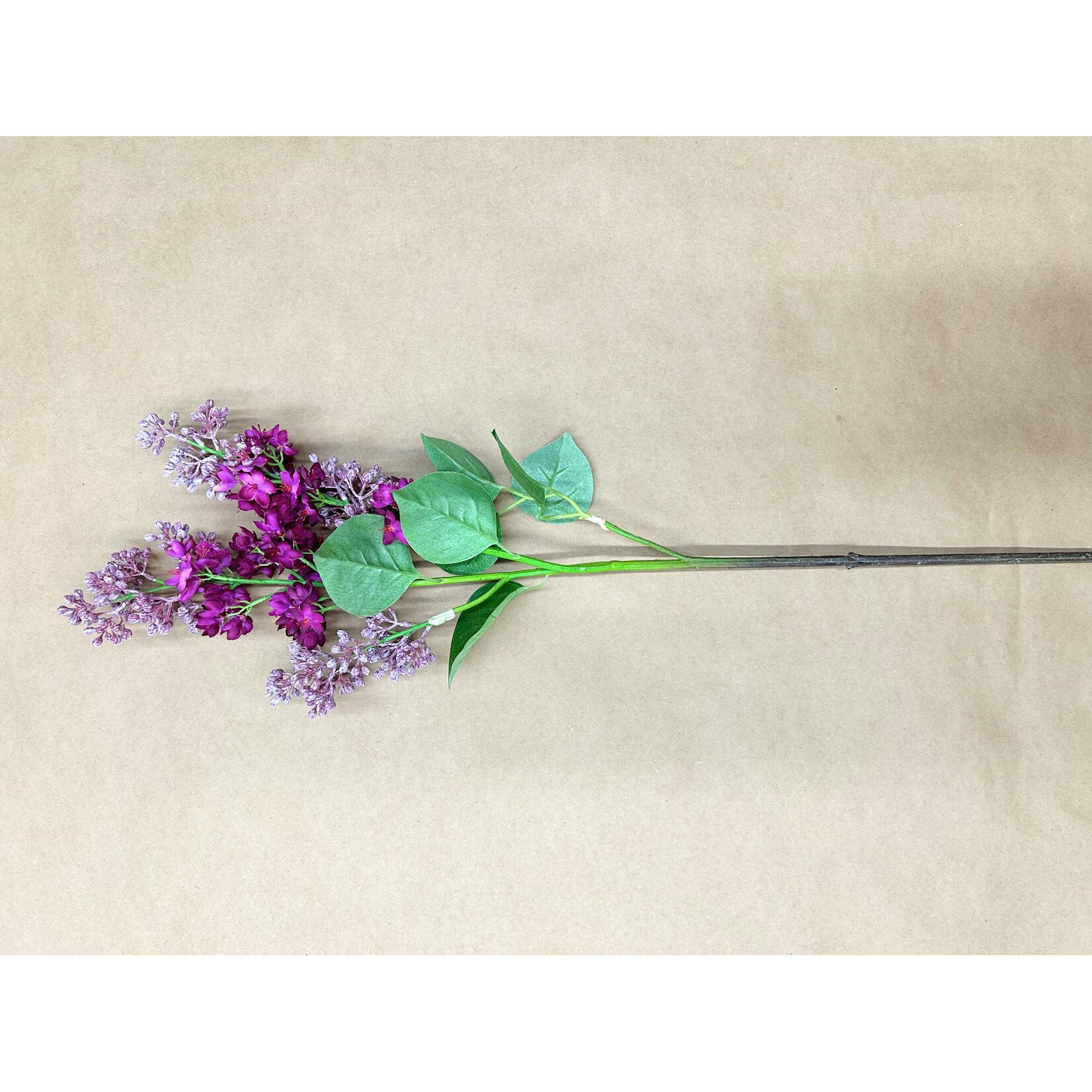 34.5" LILAC SPRAY BEAUTY