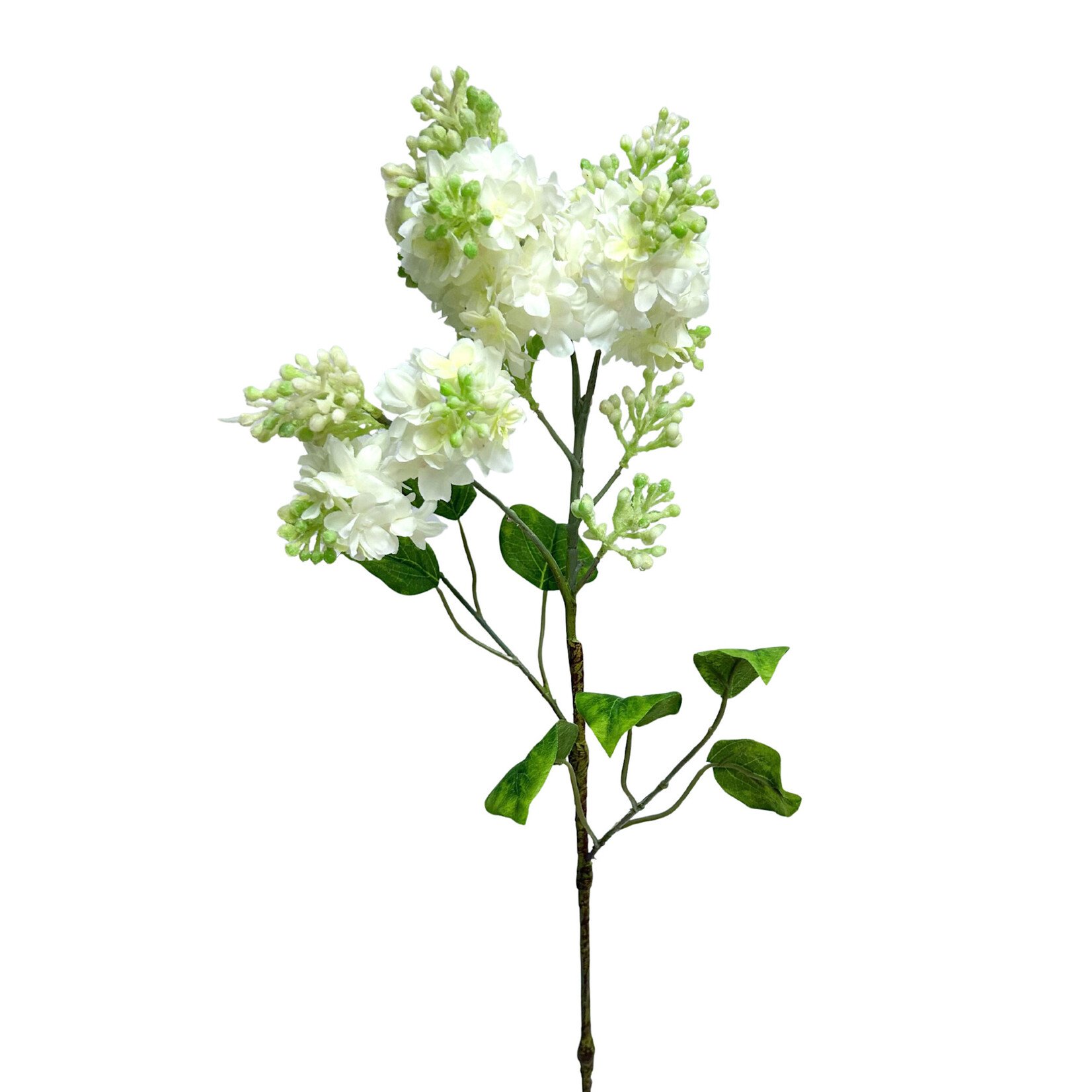 28" LILAC SPRAY CREAM