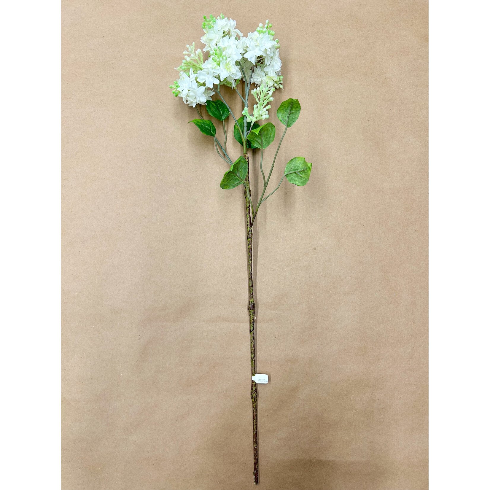 28" LILAC SPRAY CREAM