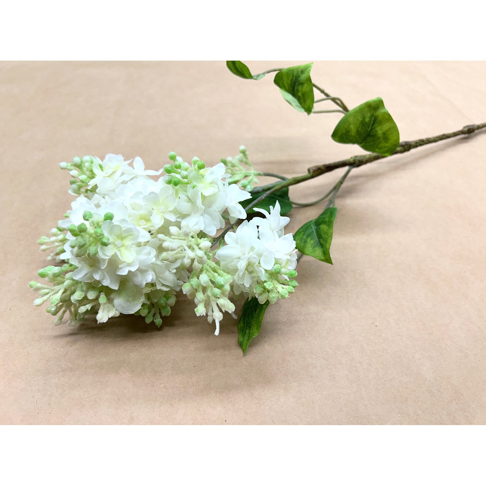 28" LILAC SPRAY CREAM