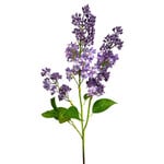 CSL909-PU: 34.5” LILAC SPRAY PURPLE