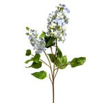 CSL703-BL/LT: 35” LILAC SPRAY LIGHT BLUE