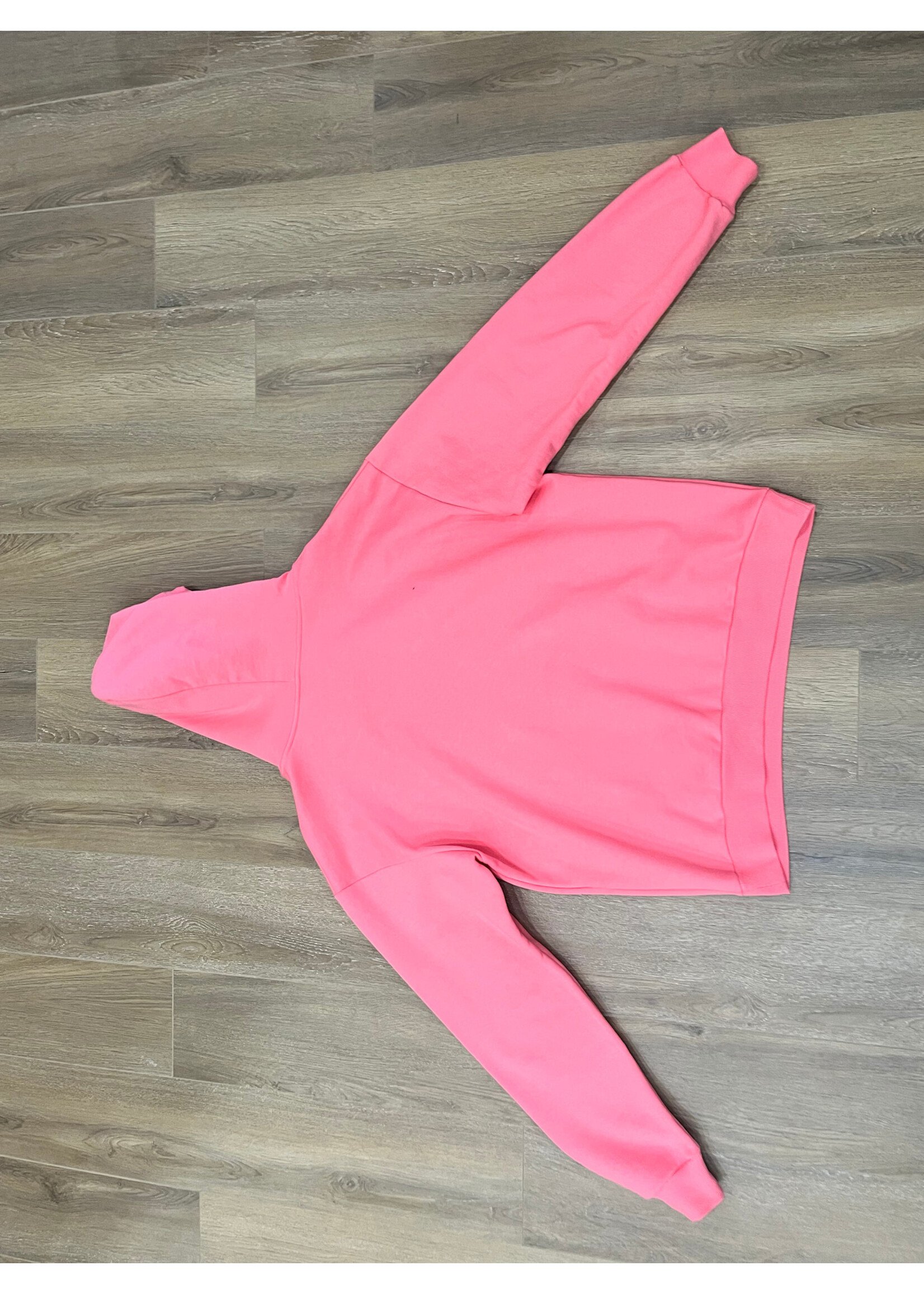Celine hoodie pink