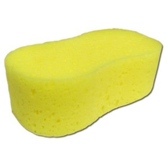 Dog Bone Sponge
