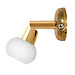Brass Reading Light W/ Switch