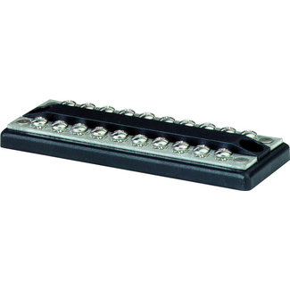 Dual Bus 10 Block 100 Amp