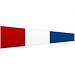 Code Flag #3