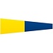 Code Flag #5