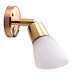 Reading Light W/Switch Brass 3W