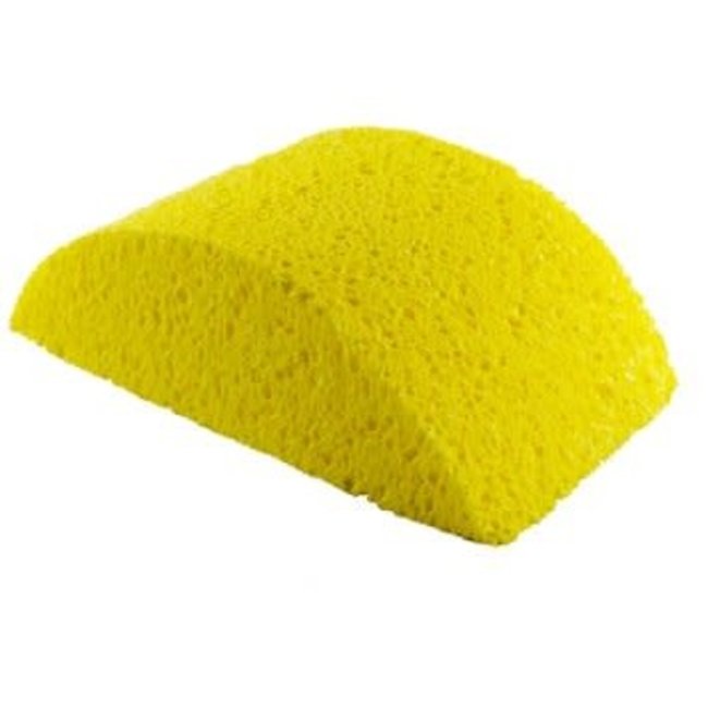 Dynamic Yellow Wallpaper Turtle Sponge