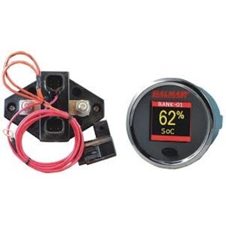CDI CDI Battery Monitor Kit 12v-48Volt CLEARANCE