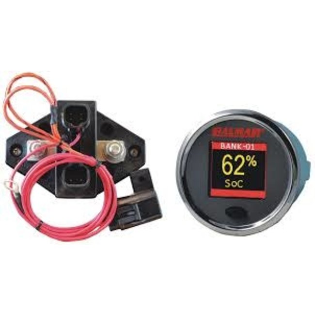 CDI CDI Battery Monitor Kit 12v-48Volt