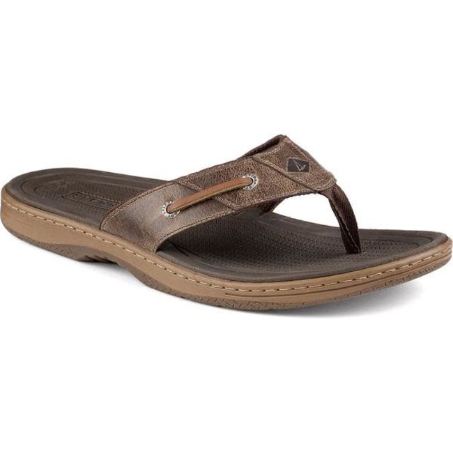 Sperry Clearance Baitfish Thong Brown (In Stock Only)