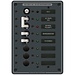 Panel 120v AC - 5 Position w/ELCI Main 30A