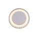 LED Ceiling Light Round