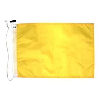 Flag Store Code Flag Q - Quarantine 12"x18"