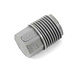 Qest Qest Fitting Test Plug, Male 3/4"