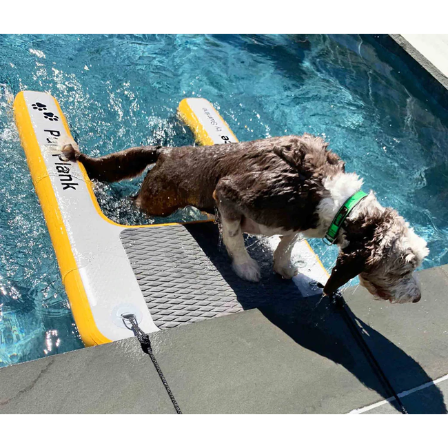 Solstice Pup Plank XL to 100lbs plus CLEARANCE