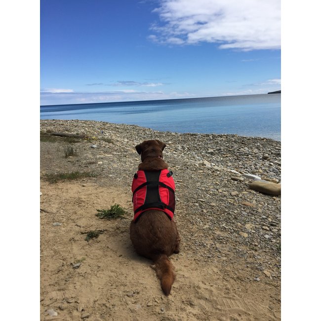 Salus Salus Skippy Dog Vest