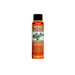 Lloyds Kleens-It Citrus Base Cleaner-Degreaser, 454g Aerosol