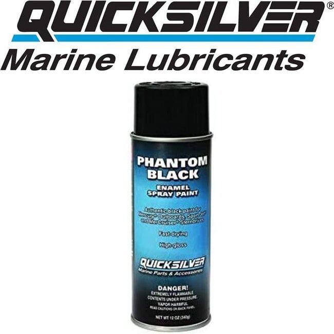 Mercury/Quicksilver Mercury Phantom Black Engine Paint, 12 oz.