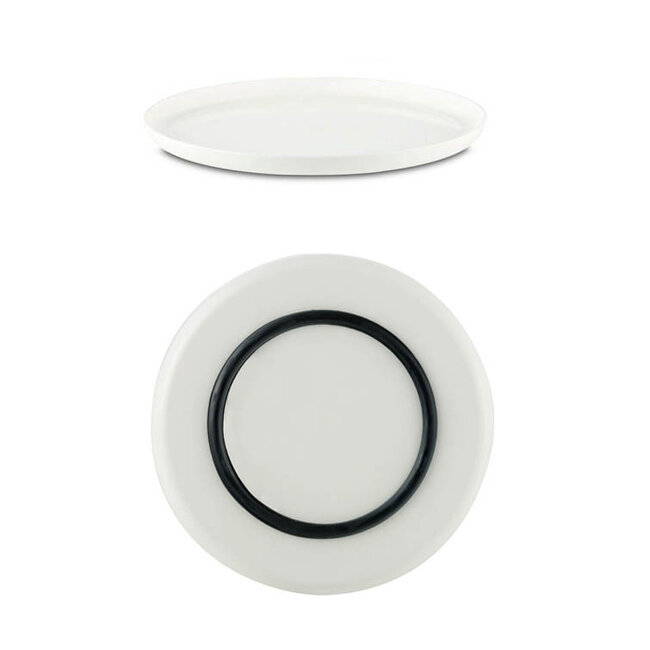 Palm Plate Large - CLEARANCE