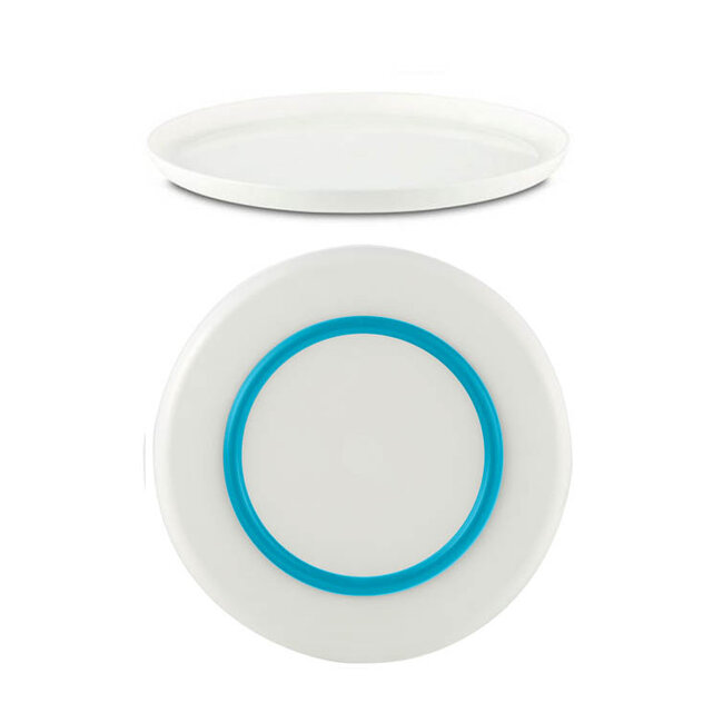Palm Plate Large - CLEARANCE