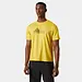 Helly Hansen Men's HH Technical Graphic T-Shirt