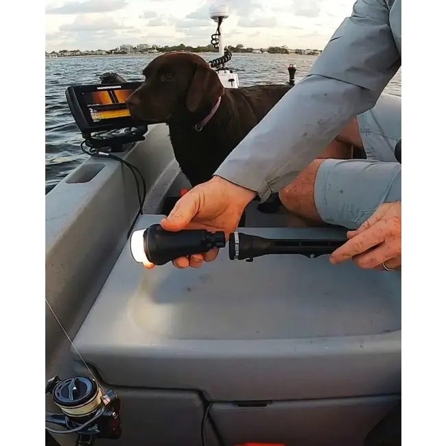 Railblaza Dinghy Visibility Kit